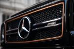 Mercedes-AMG G65 Final Edition 2018 года (NA)